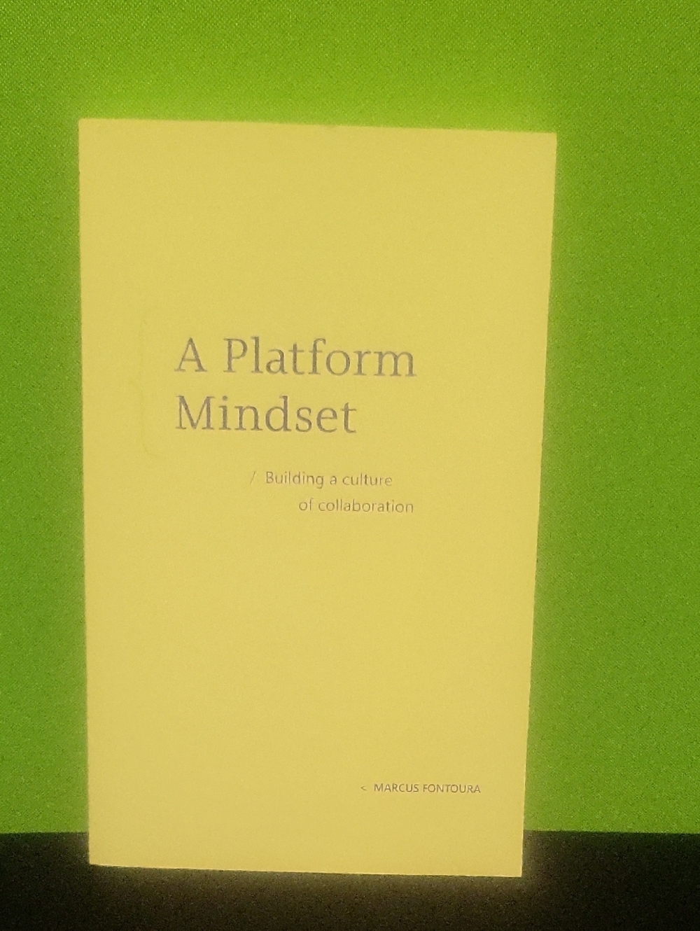 A PLATFORM MINDSET